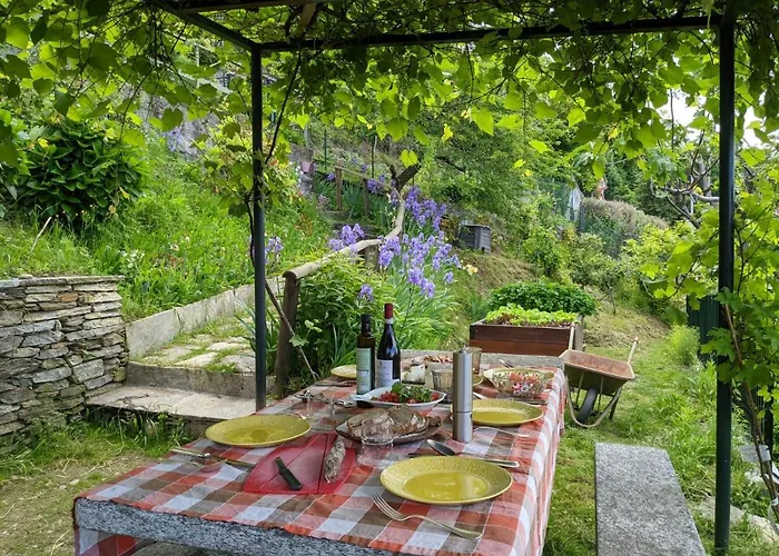 Ratto Del Gallo Stresa